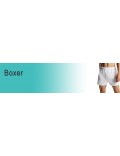 Boxer